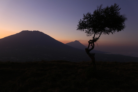 lonely tree on the top of andong mountainの写真素材