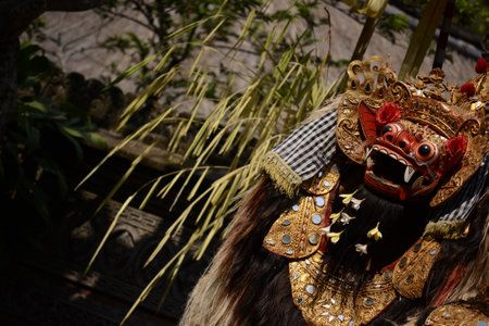 Traditional mask and costume.の写真素材