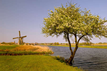 Windmill in Kinderdijkの写真素材
