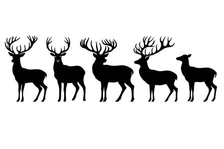Black deer silhouette art, highlighting the graceful lines of a deer's head against a pristine white background.のイラスト素材