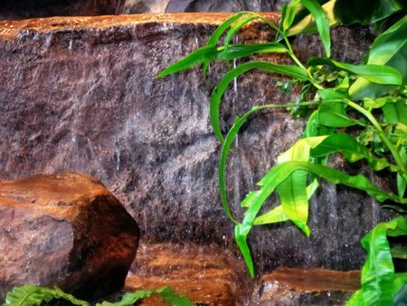 Background nature waterの素材