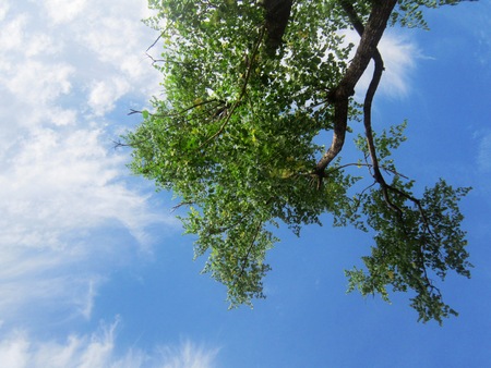 Sky backgroundの写真素材