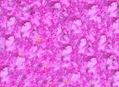 Texture flowers , Lagerstroemiaの写真素材