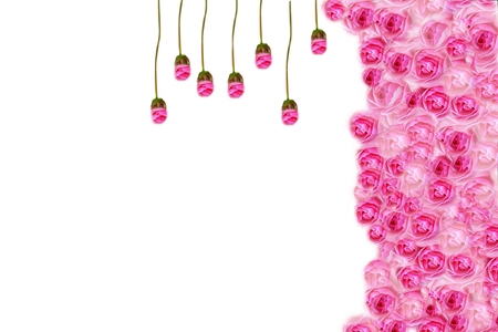 flower backgrounds ,Rosesの写真素材