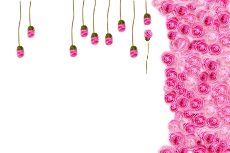 Flower backgrounds , roses for chandelier, creativeの写真素材