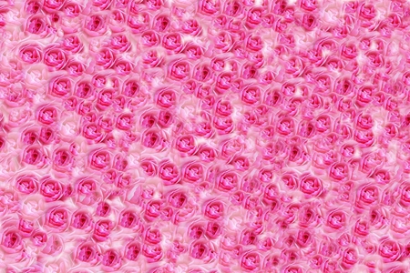 Textures natures, roses lobe , dark pink.の写真素材