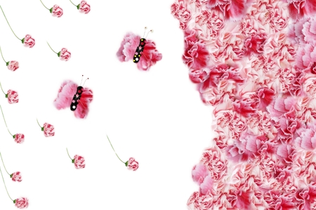 Flower backgrounds, butterflies and floral.の写真素材