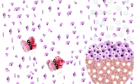 Flower backgrounds, purple  plant.の写真素材