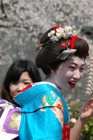 Kamishichiken Kyoto, Japan-April 03,2009 Maiko has attent to Baika-sai Festival also Baien Ume Gardenのeditorial素材