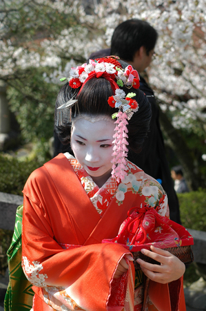 Kamishichiken Kyoto, Japan-April 03,2009 Maiko has attent to Baika-sai Festival also Baien Ume Gardenのeditorial素材