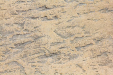 Texture on stone for background.