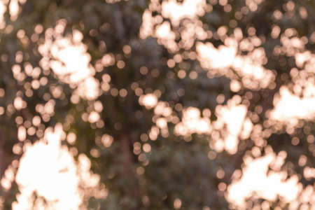 Colorful Abstrack for background.の写真素材