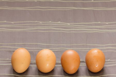 Egg on the fabric background.
