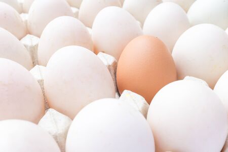 Chicken and duck eggs in carton paper.の写真素材