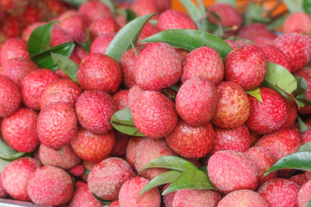Fresh lichi.の写真素材