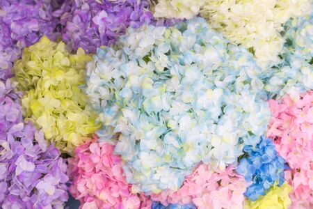 Colourful artificial flower made from plastic and fabricの写真素材