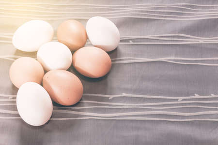 Egg on the fabric background with vintage filter effect.の写真素材