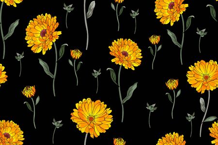 Seamless pattern with yellow flowers calendula and green leaves on black background. For textile, wallpapers, print, greeting. Vector.のイラスト素材