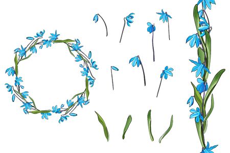Vector floral set of blue flowers. Primrose and leaves isolated on white background. Round frame. Endless seamless vertical border. Hand drawn. Floral elements for your design.のイラスト素材