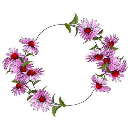 Vector wreath of pink flowers. Round frame with Echinacea Purpurea and green leaves on white background. Copy space. Design for invitation template, greeting card, saving the date card.のイラスト素材