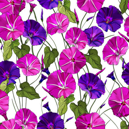 Floral seamless pattern with pink and purple flowers bindweed, green leaves on white background. Hand drawn. Morning glory for textile, wallpapers, print, web pages.のイラスト素材
