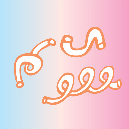 cartoon spaghetti on colored backgroundのイラスト素材