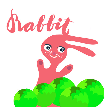 Sign rabbit and animation isolated on background, icon symbol for your web site design, icon, poster. Vector illustration.のイラスト素材