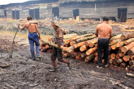 TAIPING, MALAYSIA - DECEMBER 17  Unidentified worker carrying raw mangrovewood to be processed as charcoal on December 17, 2011 in Taiping, Malaysia  Malaysia is one of the main Natural Mangrove Charcoal exporter to the world のeditorial素材