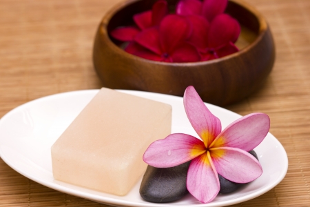 Red frangipani with salt soap crystalの写真素材