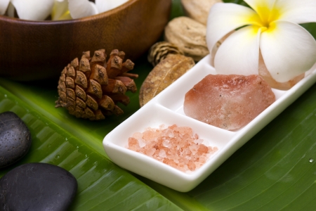 white frangipani with salt soap crystalの写真素材