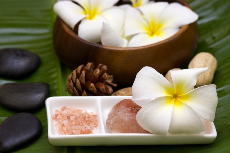 white frangipani with salt soap crystalの写真素材