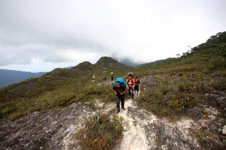 Pahang,Malaysia-March 15:Trekkers at the trails of Mount Tahan on 15 March 2016 in Taman Negara (National Park), Malaysia. Mount Tahan is the highest peak in Peninsula Malaysia.のeditorial素材