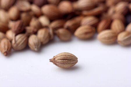 Coriander seed macro with shallow depth of fieldの写真素材
