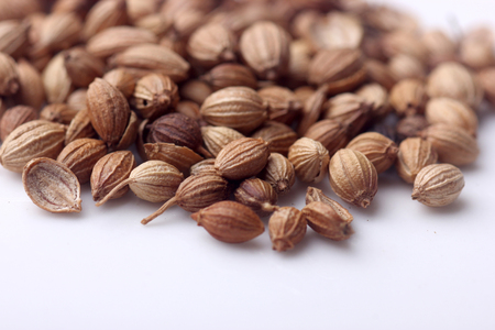 Coriander seeds isolated on white with shallow depth of fieldの写真素材