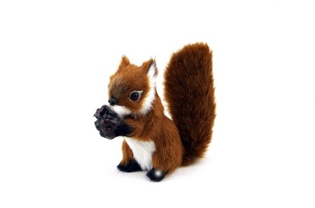 Squirrel with his nut isolated on white.の写真素材