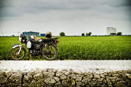 old bike at paddyの写真素材