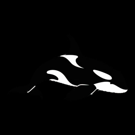 Orca swimming gracefully in deep ocean waters at sunsetの素材