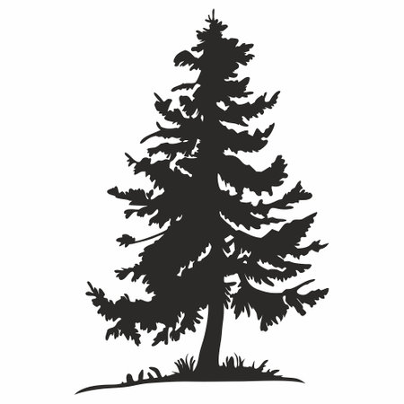 Silhouette of a coniferous tree. Vector illustration.のイラスト素材