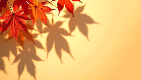 Maple leaves with shadows across beige backdrop, autumn fall conceptの素材