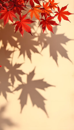 Maple leaves with shadows across beige backdrop, autumn fall conceptの素材