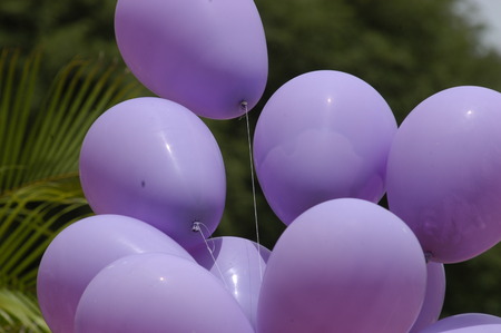 Rubber Balloons Filled With Gasの写真素材