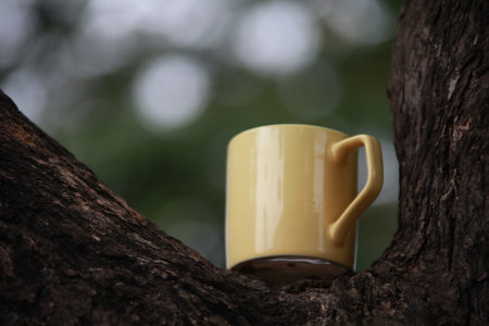Yellow coffee cup on the tree in the garden with bokeh background.の写真素材