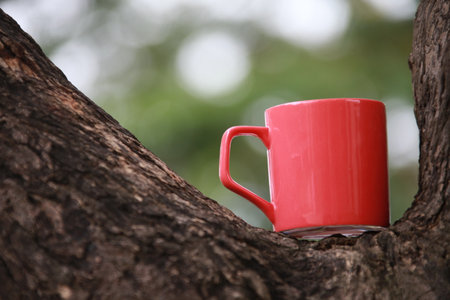 Red coffee cup on the tree with nature bokeh background.の写真素材