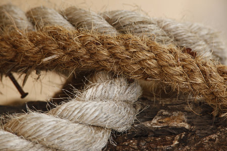 Rope tied up with a knot, closeup of photo.