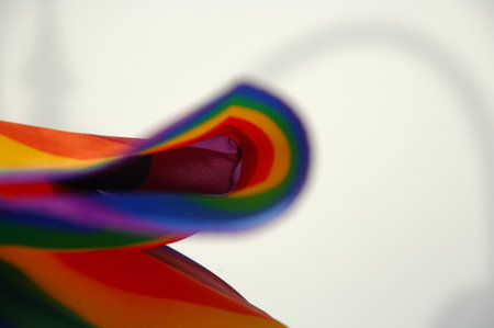 Rainbow on a white background. Close-up. Selective focus.