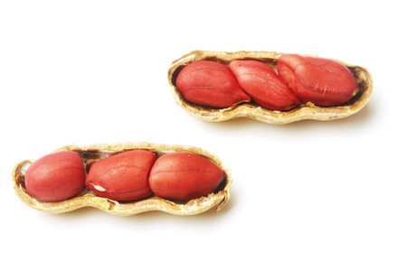 Peanut isolated on white background. Close-up of peanuts.の写真素材