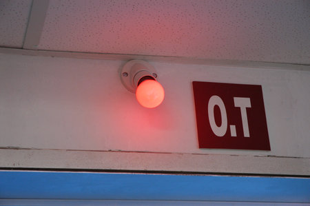 Red emergency light on the wall of a building, closeup of photo