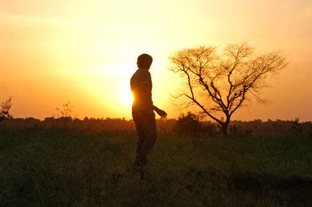 Silhouette of a woman at sunset in the savannah.の写真素材