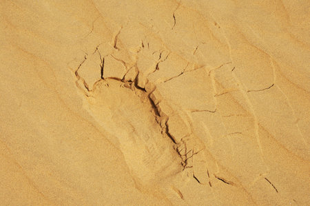 Cracks in the sand on a beach, closeup of photo