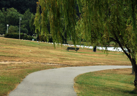 walkway in the park with green grass and trees on the background